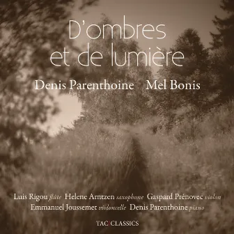 D'ombres et de lumière by Denis Parenthoine