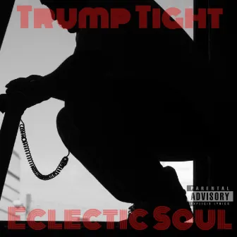 Eclectic Soul: I Just Make Music by Trump Tight