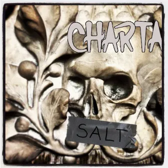 SALT by Charta 77