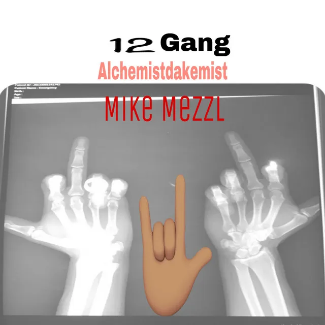 12 Gang (Remix)