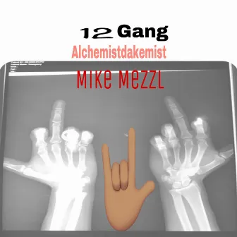 12 Gang (Remix) by Mike Mezzl