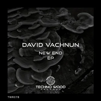 NEW END EP by David Vachnun