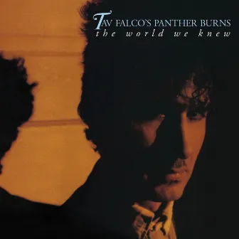 The World We Knew + Shake Rag + Live by Tav Falco's Panther Burns