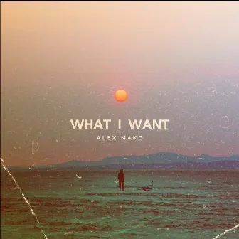 What I Want by Alex Mako