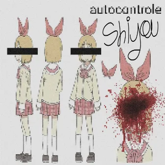 Autocontrole by shiyou