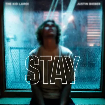 Stay by Shane Thompson