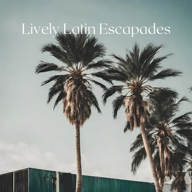 Lively Latin Escapades