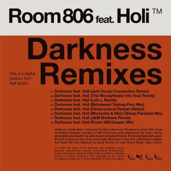 Darkness Remixes (feat. Holi) by Room 806