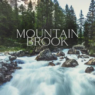 Mountain Brook: Meditative Music with Running Water for Relaxation, Release Stuck Emotions, Find Inner Balance, Calming Mountain Mindfulness by Water Music Oasis