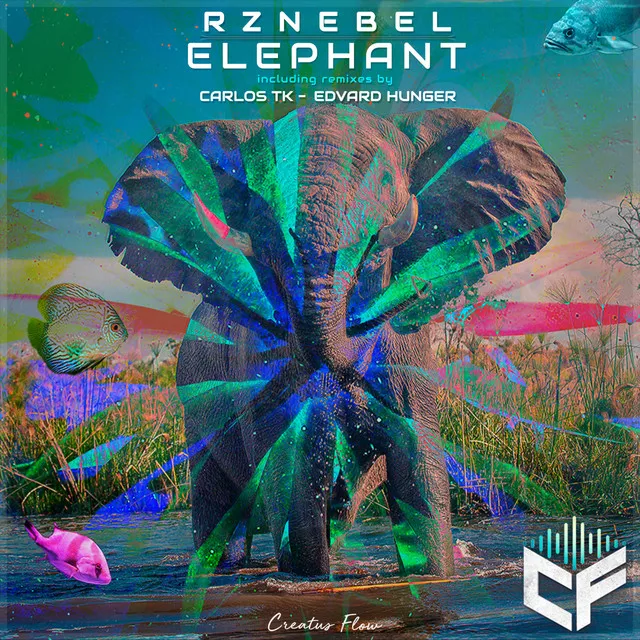 Elephant - Carlos Tk Remix