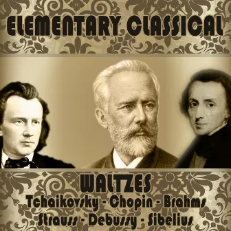 Elementary Classical. Waltzes by Leonid Efremov