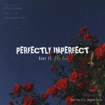 Perfectly Imperfect by DJay