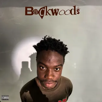 BACKWOODS by Killervybez