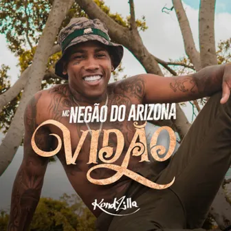 Vidão by MC Negão do Arizona