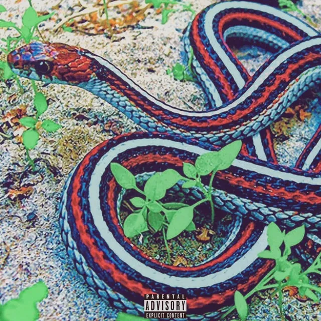 Snakes