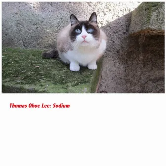 Thomas Oboe Lee: Sodium by 