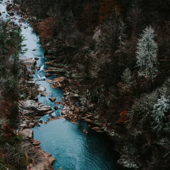 Nature Sounds for Calmness and Mindfulness by Climate Hive