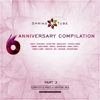 Spring Tube 6th Anniversary Compilation, Pt. 3 (Compiled and Mixed by Anthony Mea) by Anthony Mea