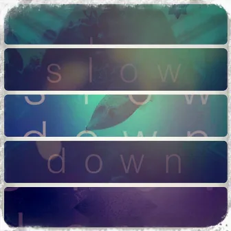 Slow Down by Ganju