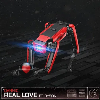 Real Love by Dyson