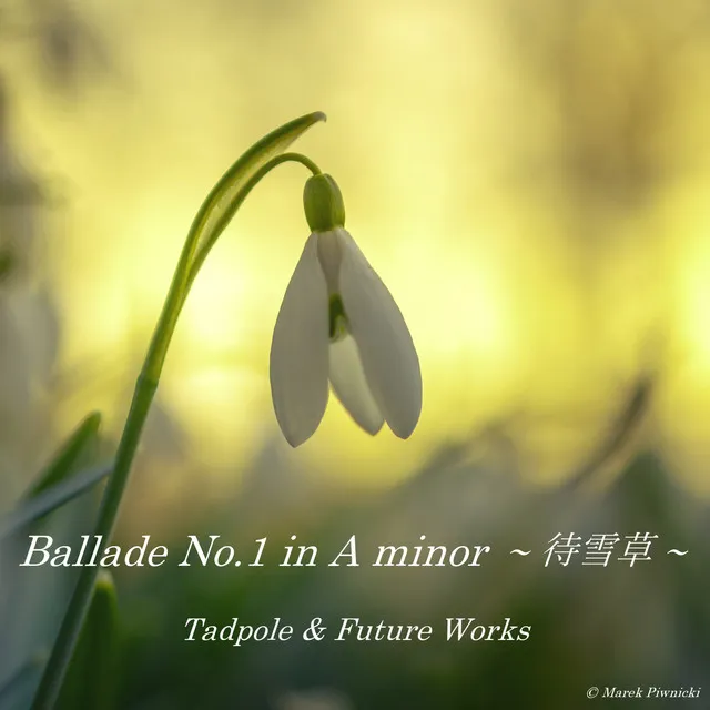 Ballade No.1 in A minor - Snowdrop -