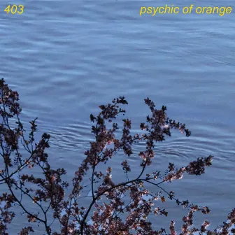 403 by psychic of orange