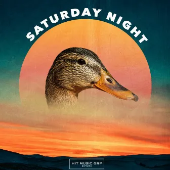 Saturday Night by Polar Gang