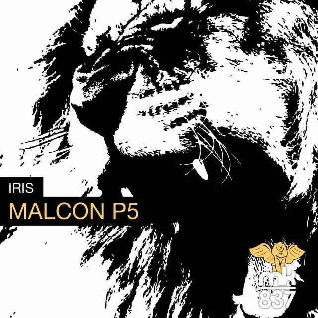 Malcon P5 - Original Mix