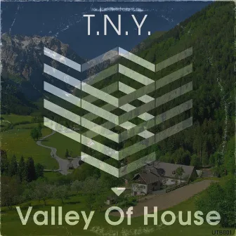 Valley Of House by T.N.Y.