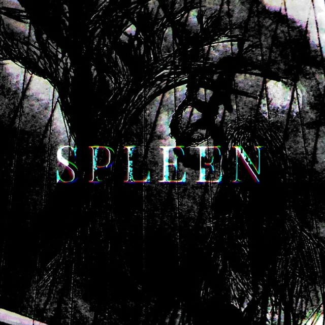 spleen