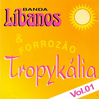 Banda Líbanos & Forrozão Tropykália, Vol. 1 by Banda Líbanos