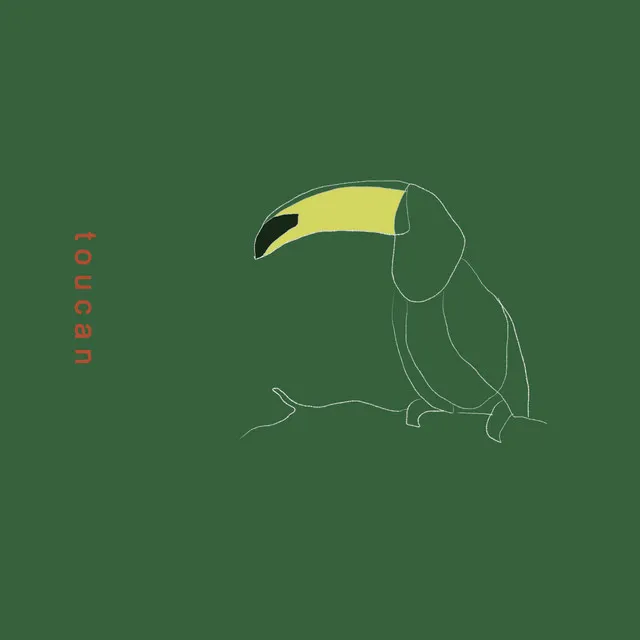 Toucan - Single