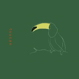 Toucan - Single by Slom