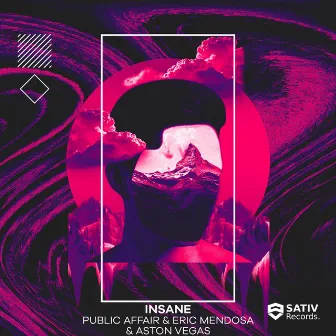 Going Insane by Public Affair