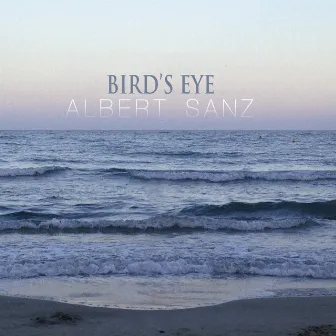 Bird's Eye - Single by Albert Sanz