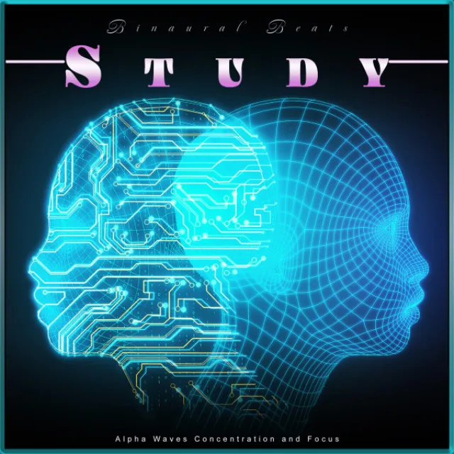 Alpha Waves Concentration