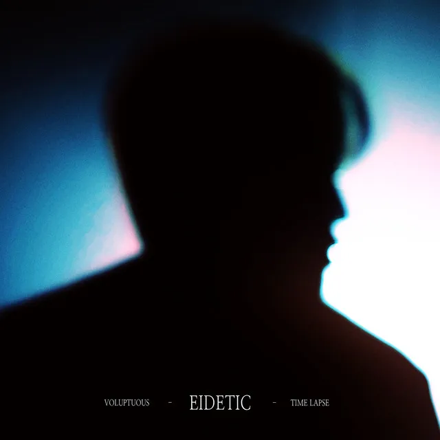 Eidetic