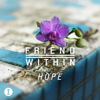 Hope by Friend Within