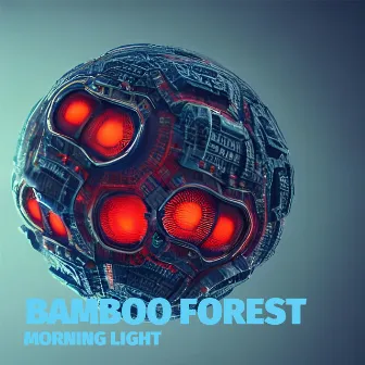 Morning Light by Bamboo Forest