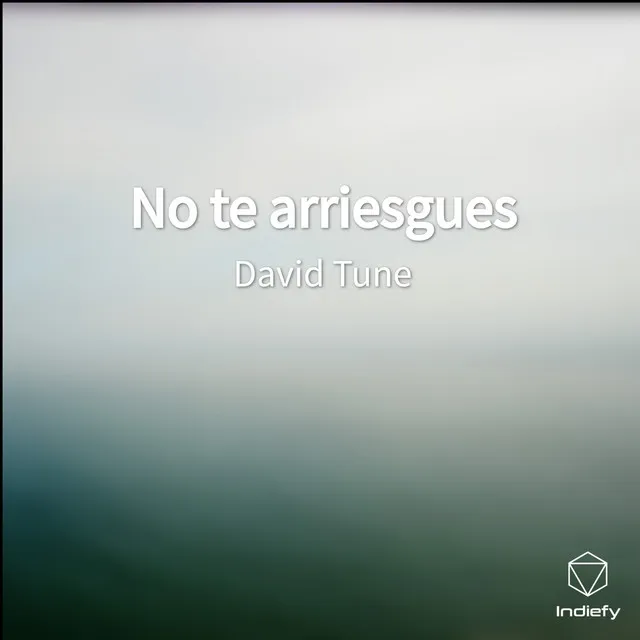 No te arriesgues