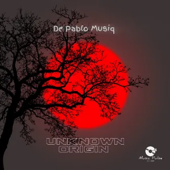 Unknown Origin by De Pablo Musiq