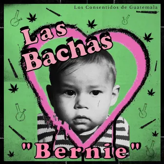 Bernie by Las Bachas