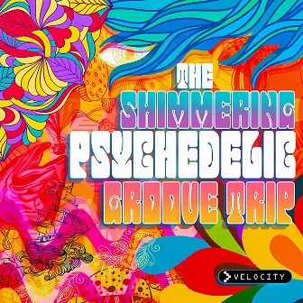 The Shimmering Psychedelic Groove Trip (Edited) by Aaron Kelley