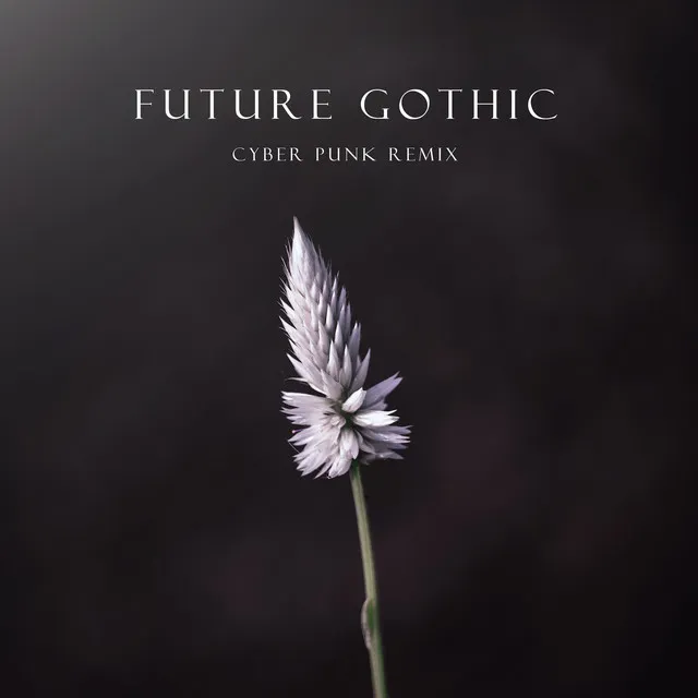 Future Gothic (Cyber Punk Remix)