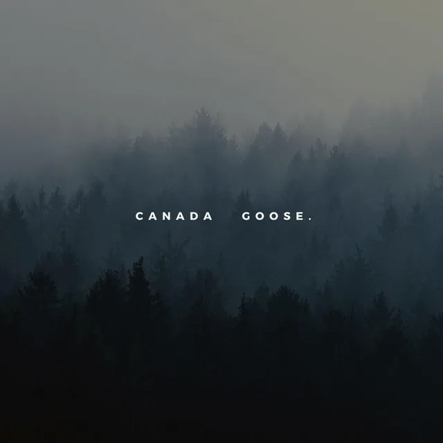 Canada Goose