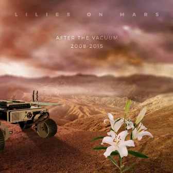 After the Vacuum 2008-2015 by Lilies on Mars