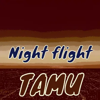 Night Flight by TAMU