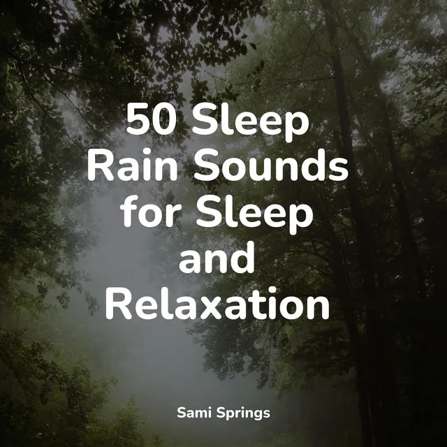 50 Sleep Rain Sounds for Sleep and Relaxation