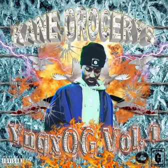 YNG Goth Vol 1 by Kane Grocerys