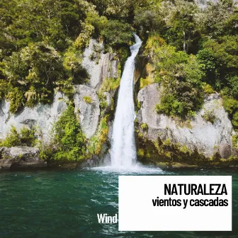 Paz Mental Naturaleza: vientos y cascadas by Pink Noise Babies